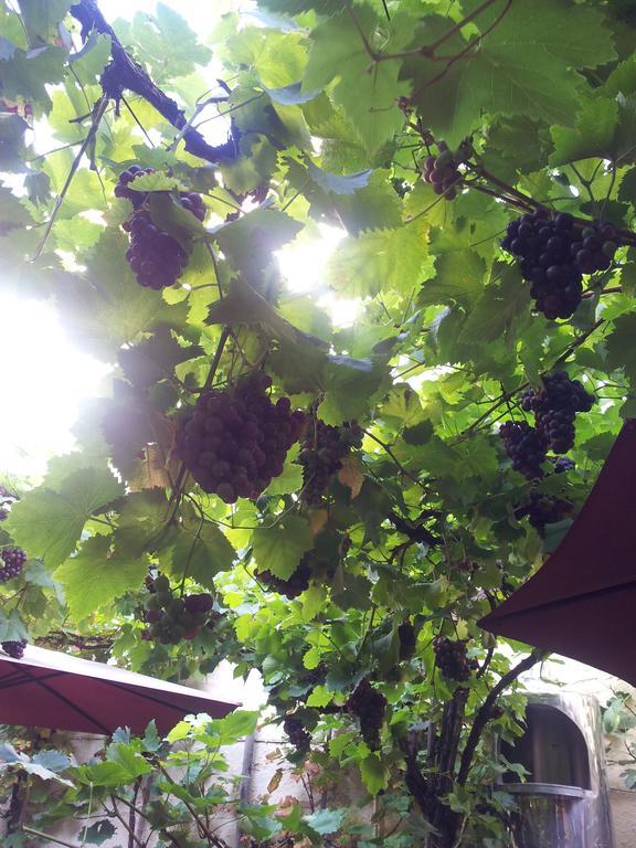 Weingut Haxel Hotel Cochem Exterior photo