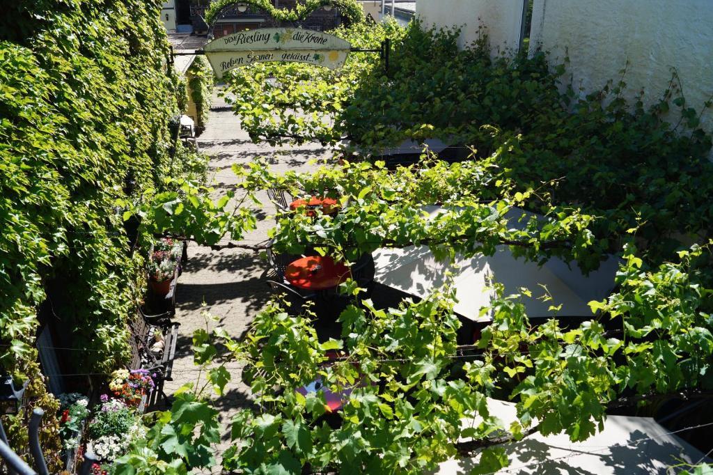 Weingut Haxel Hotel Cochem Exterior photo