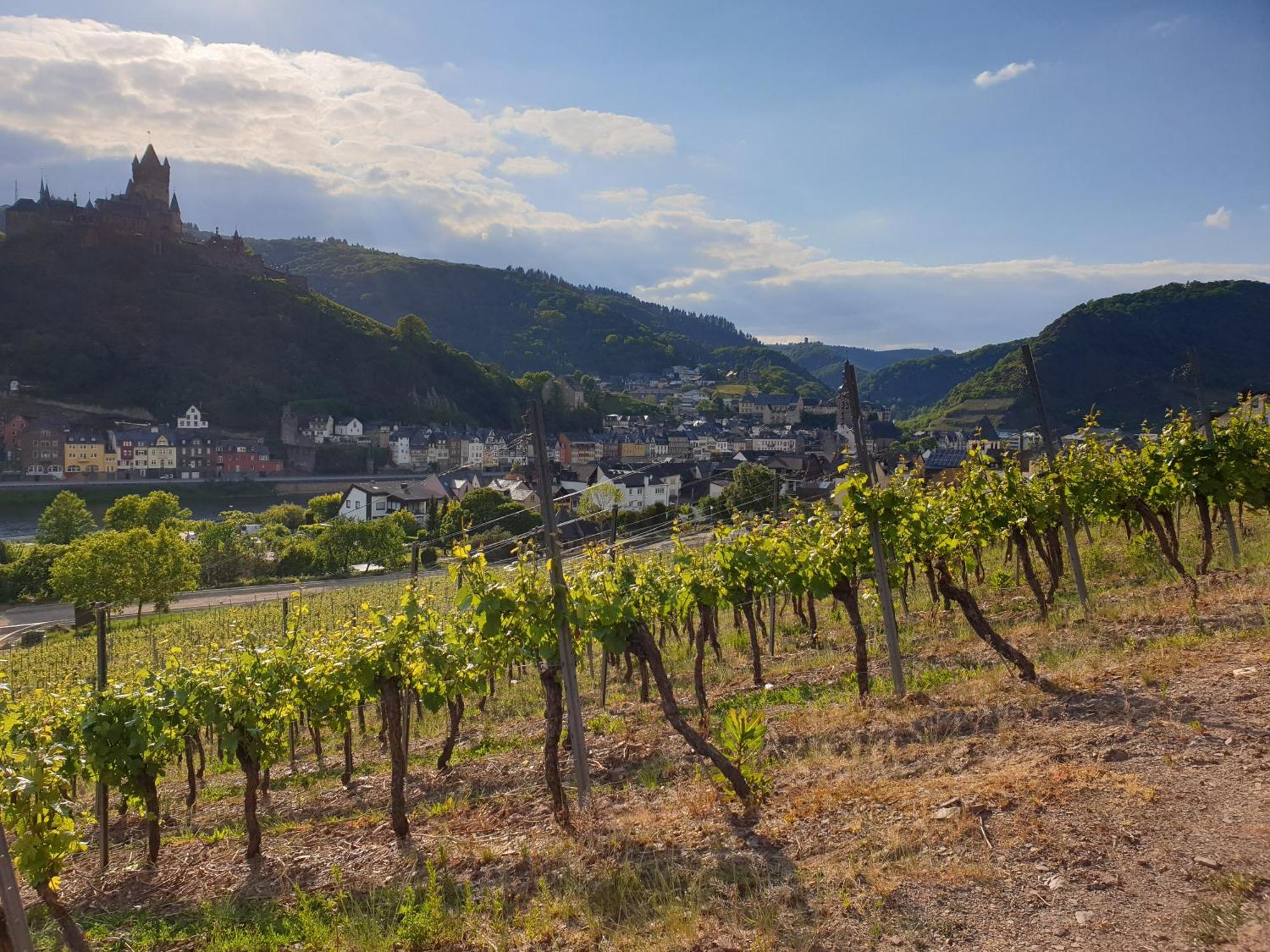 Weingut Haxel Hotel Cochem Exterior photo